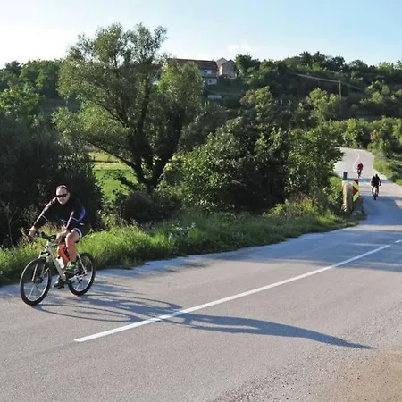 Dalmatia Escape * Potravlje